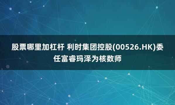 股票哪里加杠杆 利时集团控股(00526.HK)委任富睿玛泽为核数师