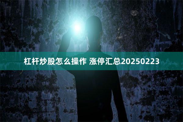 杠杆炒股怎么操作 涨停汇总20250223