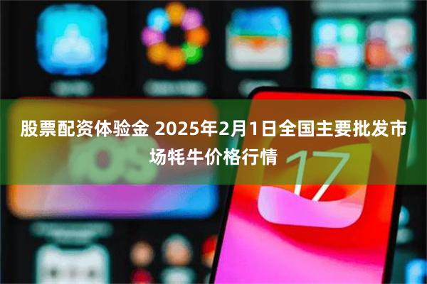 股票配资体验金 2025年2月1日全国主要批发市场牦牛价格行情