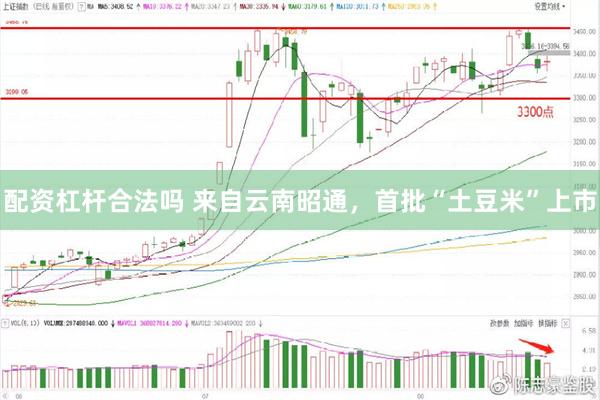 配资杠杆合法吗 来自云南昭通，首批“土豆米”上市